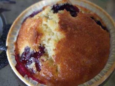 blaubeermuffinklein.jpg