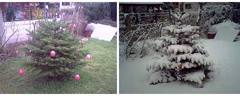 Wintereinbruch