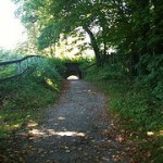 Vacation Where Are Though