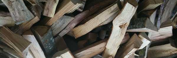 All That Was Lost, Will Be Found