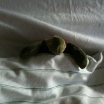 There And Back Again