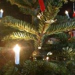 Post-Christmas, Pre-Yew Year