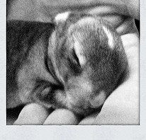 Back To The Future, <strike>2010</strike> 2011