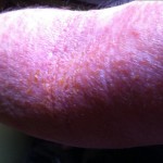 Keep On Swimming, All Ways!