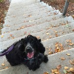 Autumn Love 💛 💙 💜 💚 ❤