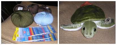 wool and turtle